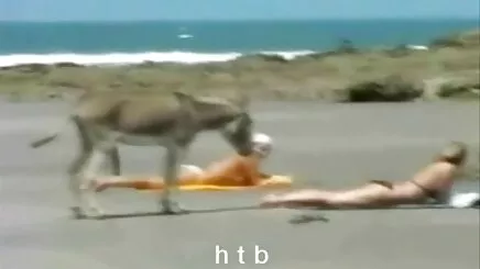 Người mu lồn gái đẹp phụ nữ đã làm tình với một người đàn ông trẻ hơn
