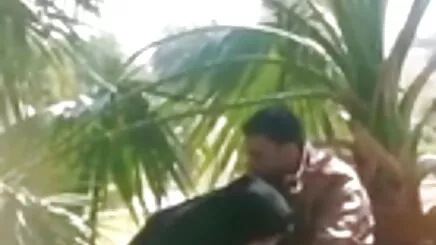 Không ngưng sex gái xinh bú to tình dục