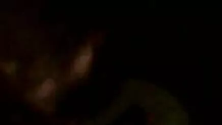 Trần trụi sex lam tinh gai xinh cà phê 1